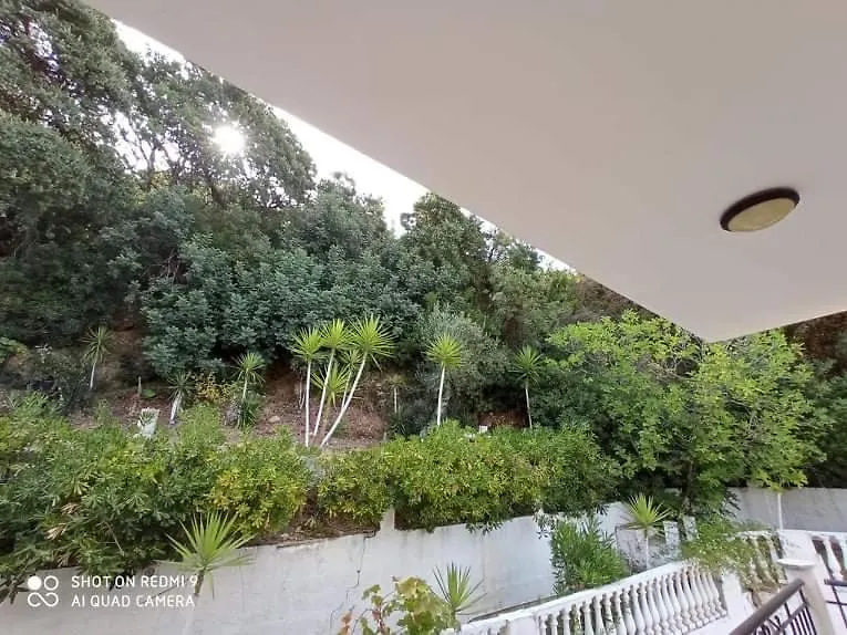 Apartment Agios Gerasimos Studios Lourdata