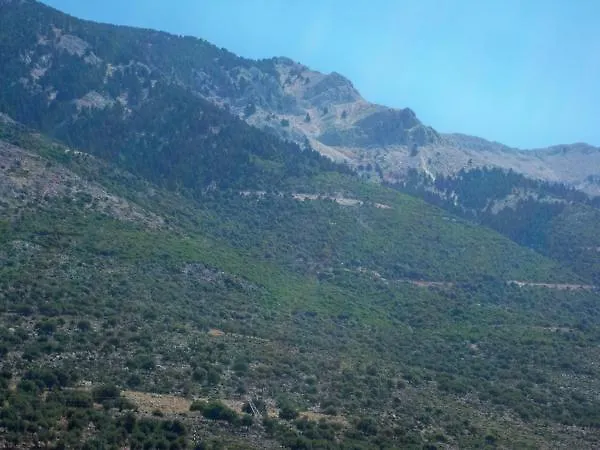 Agios Gerasimos Studios Lourdata  Lägenhet